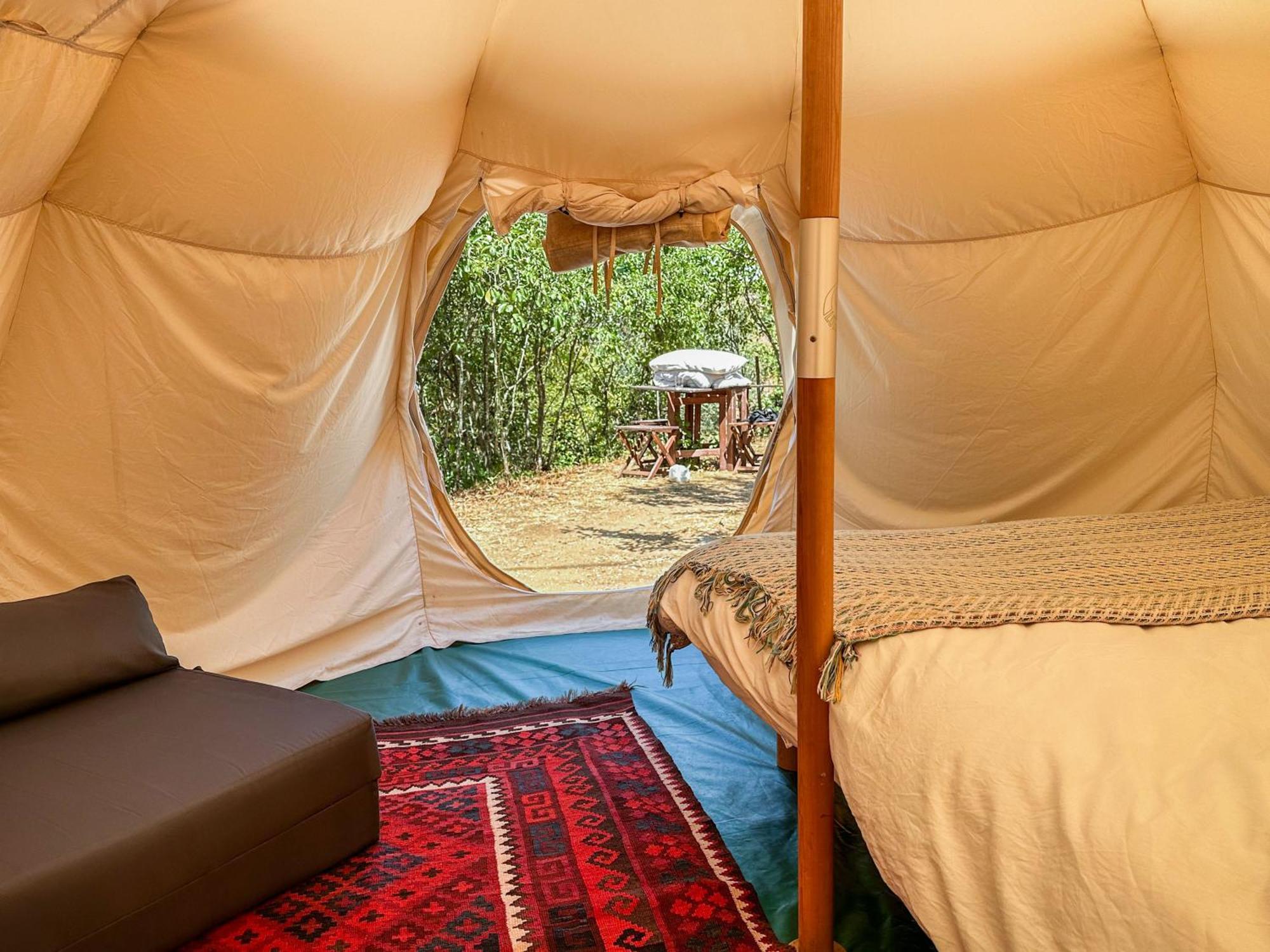 Hotel Glamping Do Ze Cernache do Bonjardim Exterior foto